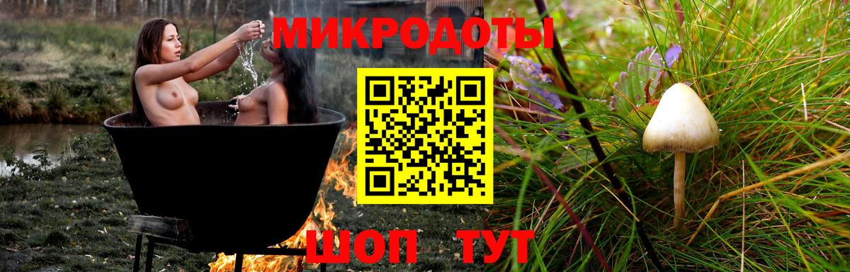 где найти наркотики  Галлюциногенные грибы прущие грибы  Вход с VPN  Истра  Псилоцибиновые грибы Psilocybine cubensis 