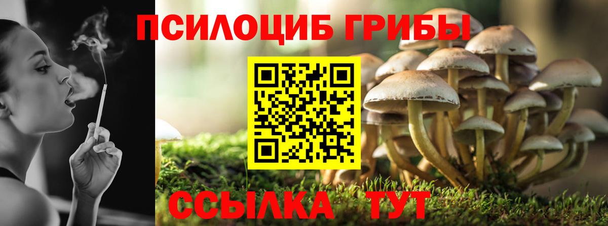 Псилоцибиновые грибы прущие грибы Истра